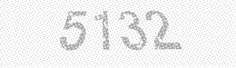 Visual security code — type the characters shown in the image